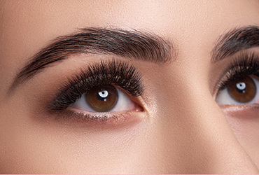 Perfect Brows